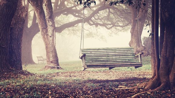 梦幻西游哪个职业休闲